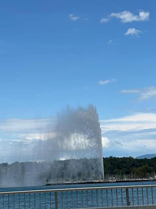 Studio Cosy Equipe Et Bien Place * Genève